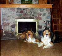2001