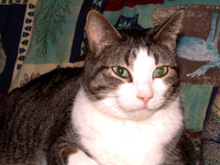 2003-01