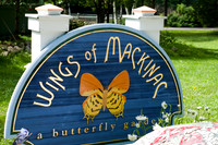 2010-07