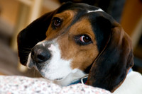 2008-03 Lady