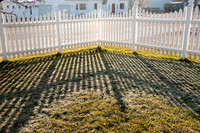 2009-11