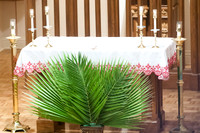 2015-03 Palm Sunday